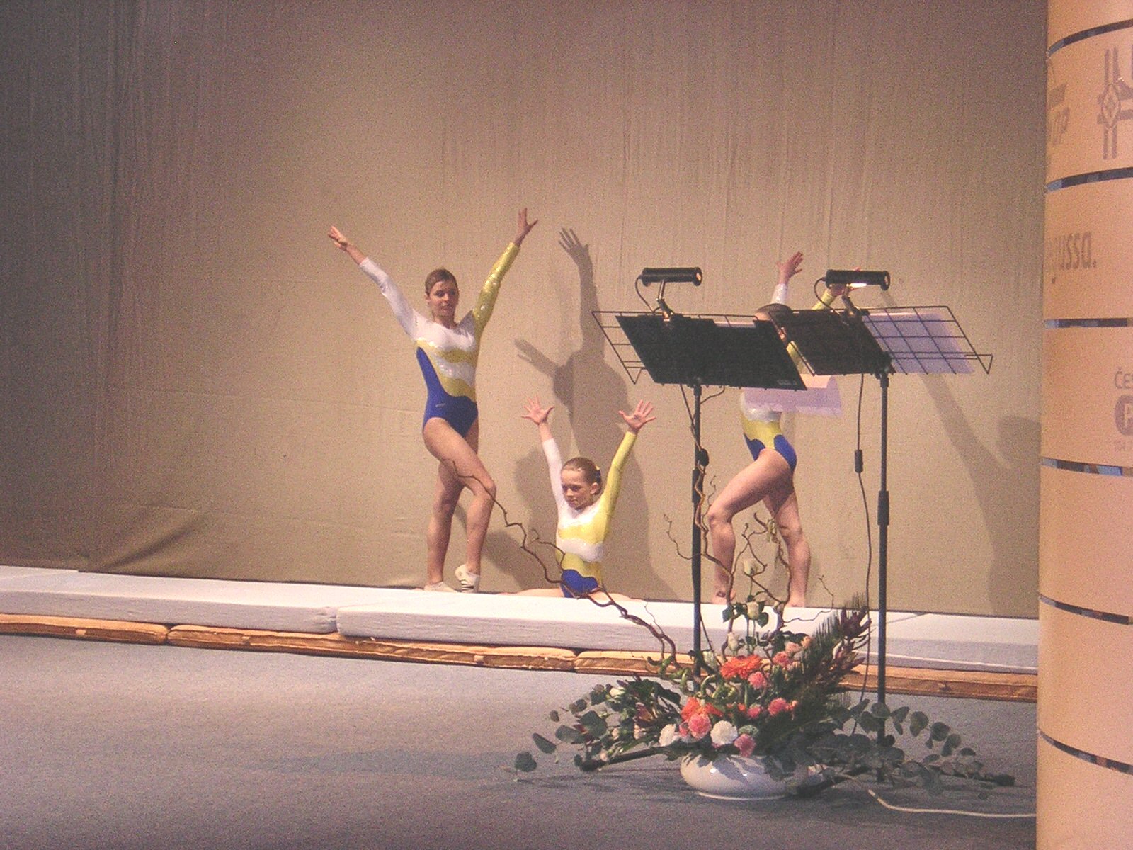 Vystoupen malch gymnastek